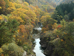 野川渓谷