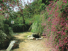 はぎ公園