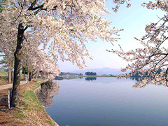 徳良湖