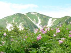 大朝日岳