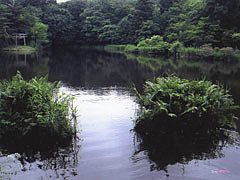 大沼の浮島
