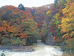 小松渕