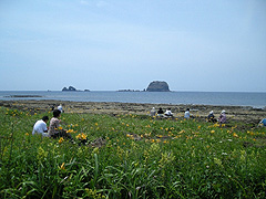 飛島