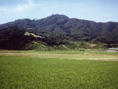 金峯山