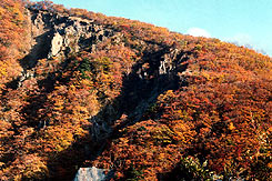 BAELTZ