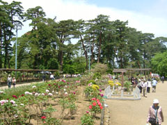 須賀川牡丹園