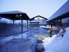 羽鳥湖高原レジーナの森 彩光の湯