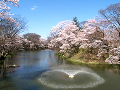 棚倉城跡(亀ケ城公園)