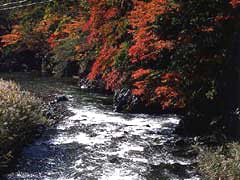 夏井川渓谷