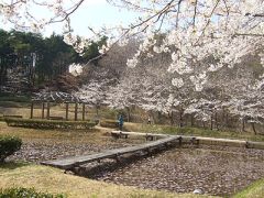 相馬地域開発記念緑地