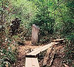白砂峠