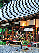 たらいうどん 椛や