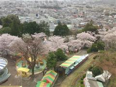 かみね公園