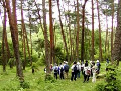 茨城県民の森