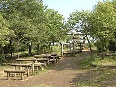 くぬぎの森スポーツ公園