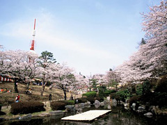 八幡山公園
