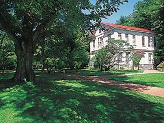 北海道大学北方生物圏フィールド科学センター植物園
