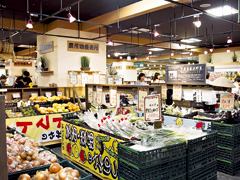 えきの市場
